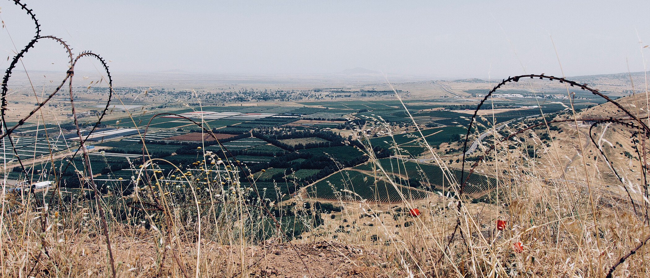 View on the Golan Heights